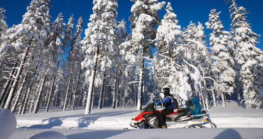 Snowmobile - Snowmobile Tour at Treehotel