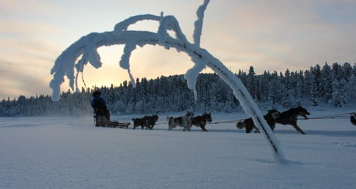 Dog sledding at Fjellbord Arctic Lodge 