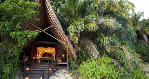 Room - Greystoke Mahale