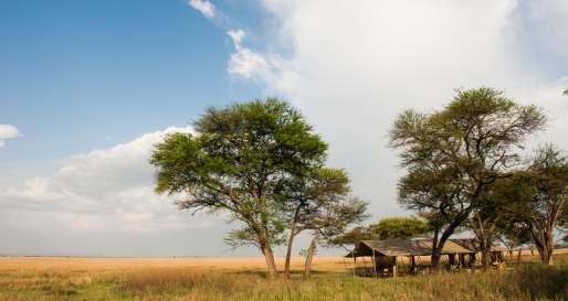 Tented camp 