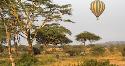 Hot air ballooning over the Serengeti