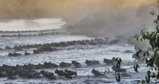 Serian Serengeti North Camp