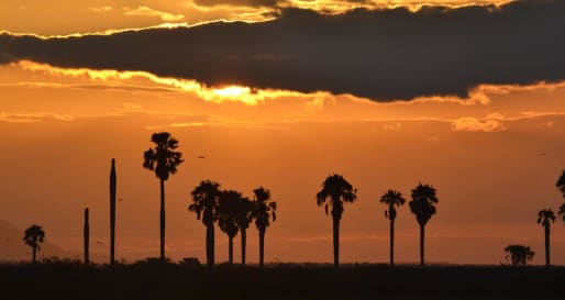 Sunsets over the Rufiji