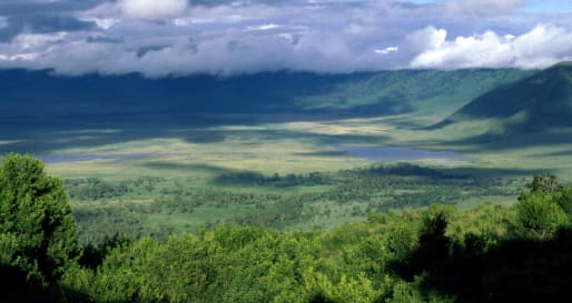 Ngorongoro Crater - Walk to Ngorongoro Crater Rim