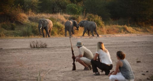 Walking safaris in Ruaha