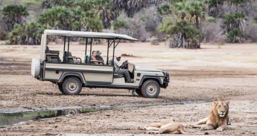 Game drives in the Selous