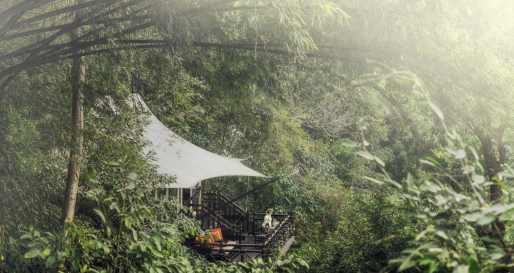 Superior Tent - Four Seasons Tented Camp Golden Triangle