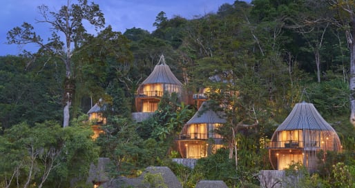 Tree Pool Houses 