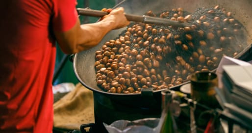 Chestnut Roasting - Bites & Sites in the Village of Love