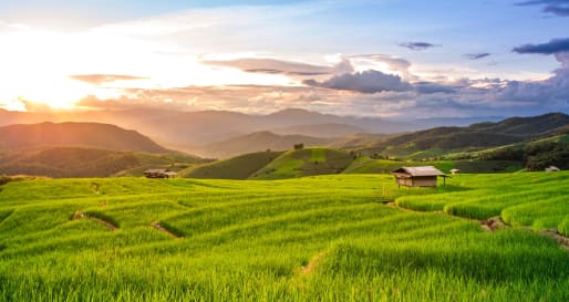 Rural Chiang Mai - Pedal Lanna