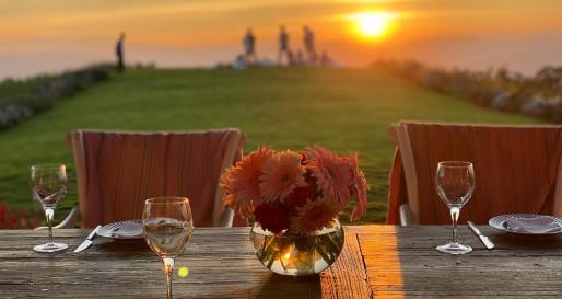 Picnic and Exclusive Dinner 