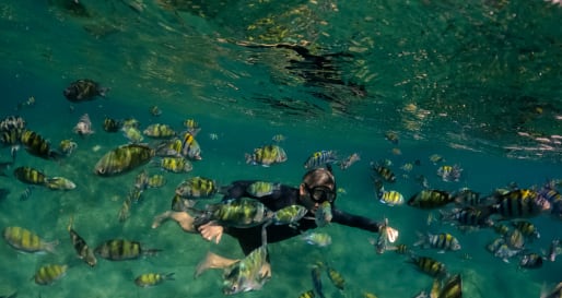 Trisara Snorkelling 
