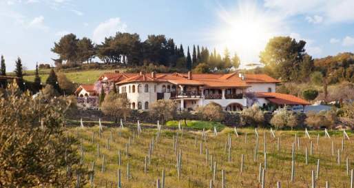 Hotel and vineyard
