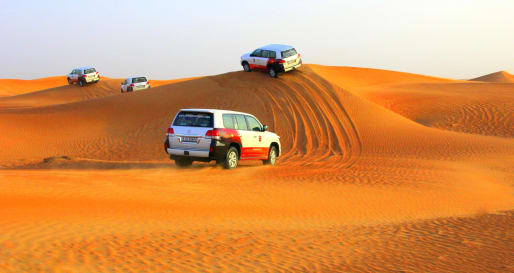 Desert Safari with BBQ Dinner