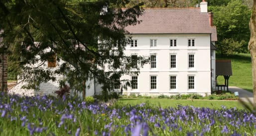 Outside View 