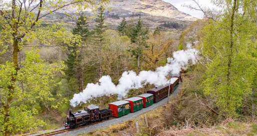 steam train 