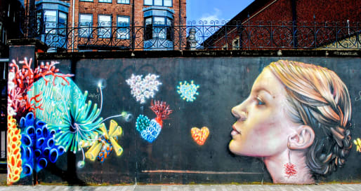 Belfast Mural 