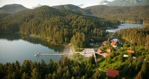 Aerial Views