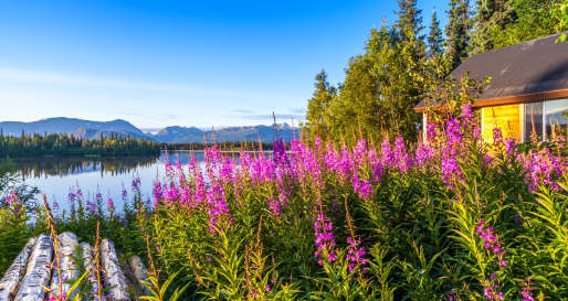 Exterior - Winterlake Lodge