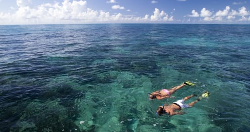 Snorkelling 