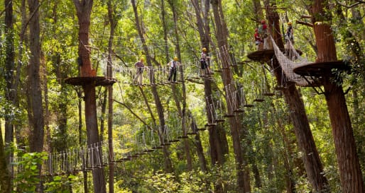 Kohala Zip and Dip Tour