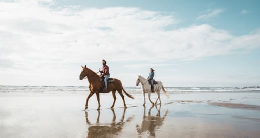 Horse Riding 