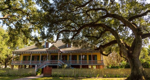 Laura Plantation 