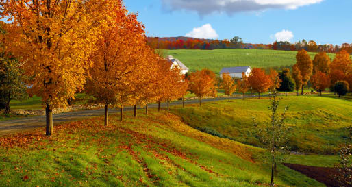 Vermont - New England for Couples 