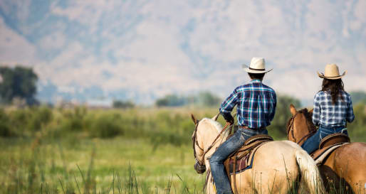 Horseriding - Jackson Hole and Montana