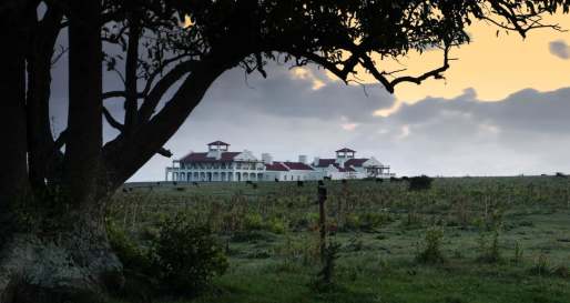 View - Estancia Vik
