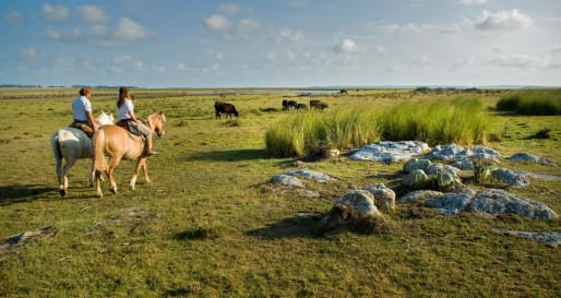 Family Fun in Uruguay 