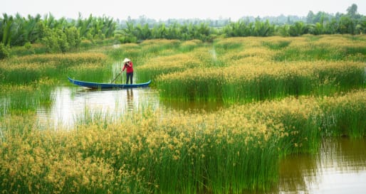 River Life - Mekong Tour from Cai Be