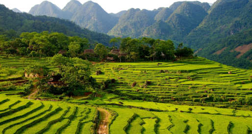 Mai Chau 