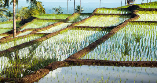 Lombok 2 