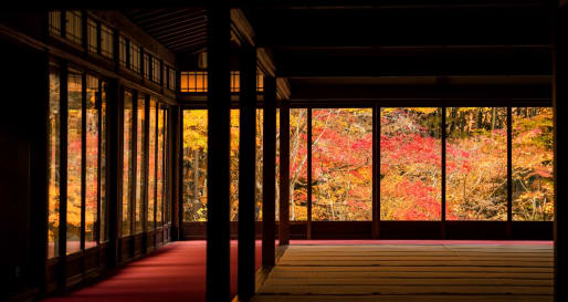 Autumn Foliage Through Window  
