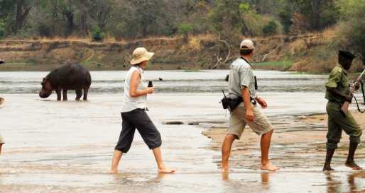 Crossing the Luangwa River 