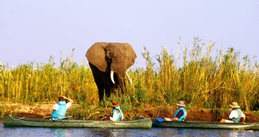 Canoeing Safari - Canoeing on the Lower Zambezi