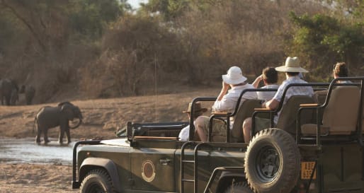 Game Drive - Game Viewing in the Lower Zambizi