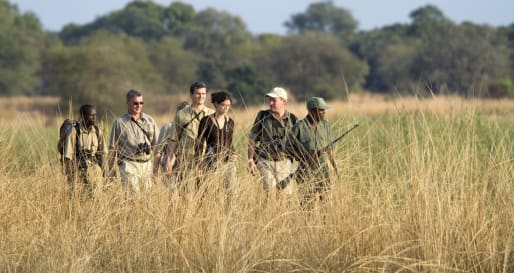 Walking Safari - Walk Zambia
