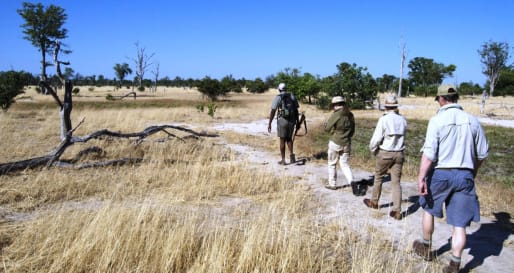 Walking Safari