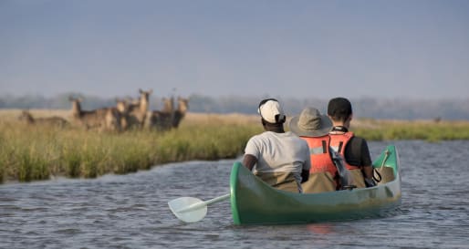 Canoe at Mana Pools