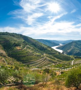 A Discovery of Portugal