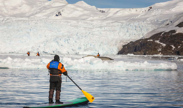 Paddleboarding