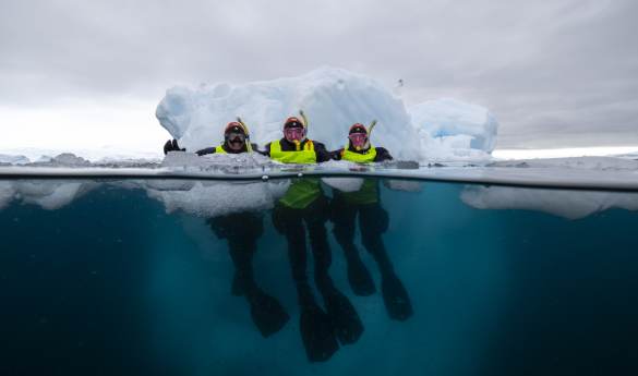 Polar Snorkeling