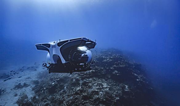 Antarctica Submarine Dive