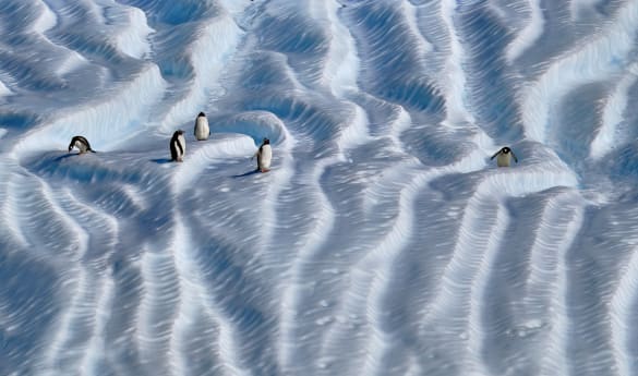 Extraordinary Antarctica: Cross the Polar Circle