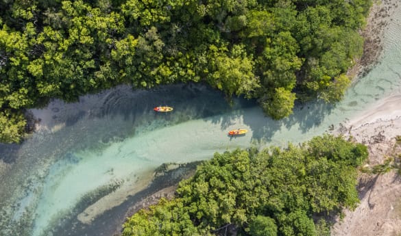 Island Thrills and Family Bonds: Antigua & Grenada