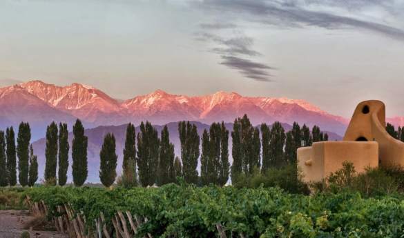 Cavas Wine Lodge