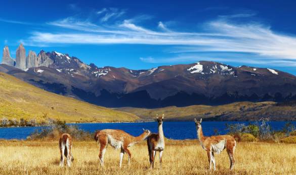 Epic Highlights of Patagonia