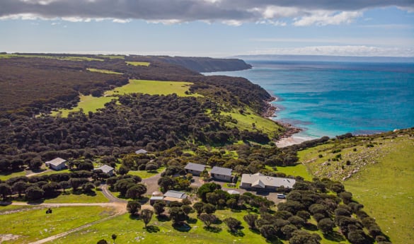 Sea Dragon Lodge